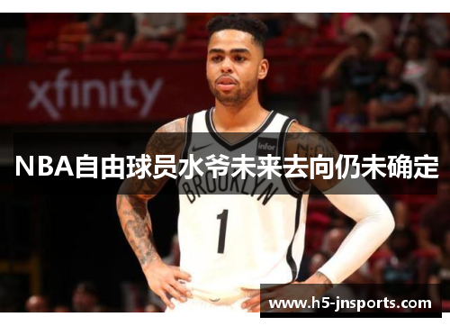 NBA自由球员水爷未来去向仍未确定