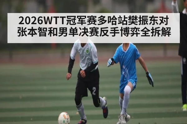 2026WTT冠军赛多哈站樊振东对张本智和男单决赛反手博弈全拆解