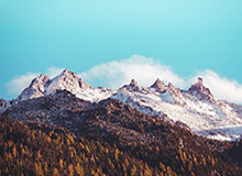 【德甲】下半场连丢4球！多特主场1比5惨败斯图加特