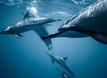 江南体育平台江南体育app-亚冠席位将生变 当年成绩决定两年后席位分配